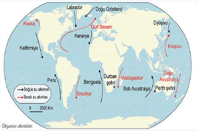 Dünyadaki okyanus akıntıları özellikleri  etkileri nelerdir